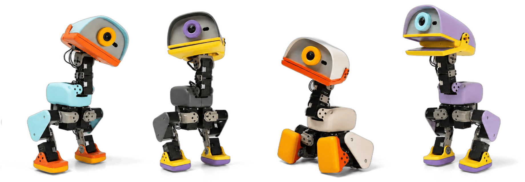 microduck