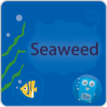 seaweedfs