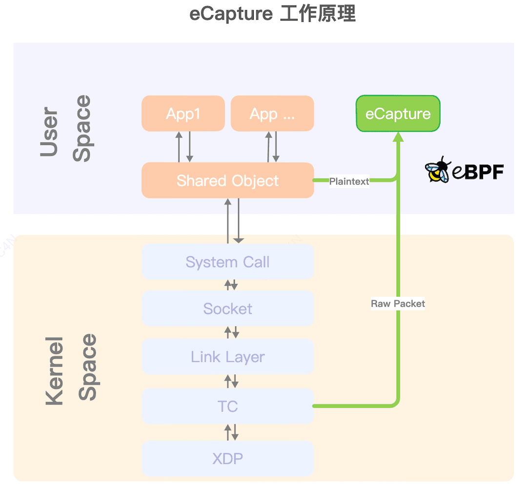 ecapture